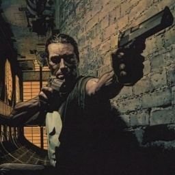 Le Carnet : L'ombre du Punisher