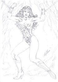Al Rio - Wonder Woman par Al Rio - Illustration originale