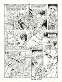 Yves Swolfs - Prince de la Nuit T5 p20 (planche encrée + crayonnée) - Comic Strip