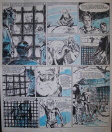 Lucien Nortier - Le Lynx Blanc " Luc et Jori la Patrouille de la Jungle " - Comic Strip