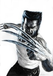 Tarumbana - Wolverine, hommage - Illustration originale