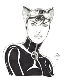 Ethan Van Sciver - Ethan van Sciver Catwoman - Comic Strip