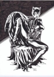 Xavier Duvet - Catwoman par Duvet - Illustration originale