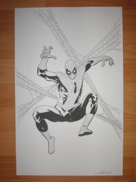 Dalibor Talajic - Spider-Man , Dalibor Talajic - Illustration originale