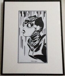 Cooke Catwoman framed