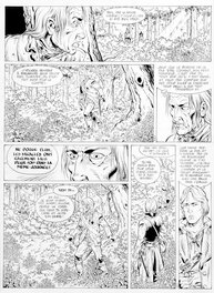 Yves Swolfs - Dampierre  le temps des victoires t2 - Comic Strip