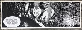 Milo Manara - JOUR DE COLÈRE - strip 189 - Planche originale