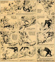 Hal Foster - Tarzan sunday 04/09/1933 - Planche originale