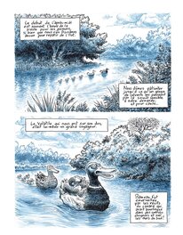 Phicil - Le grand voyage de Rameau - Comic Strip