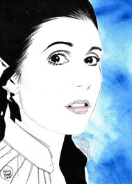 Shelton Bryant - Princess Leia - Illustration originale