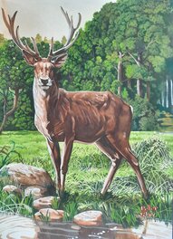 Peinture de chasse