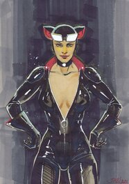 Julien Hugonnard-Bert - Catwoman par Hugonnard-Bert - Illustration originale