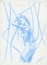 "ropes" Prelim published in "The Art of Lorenzo" (I posted in my gallery).