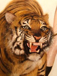 Tiger detail