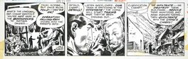 Joe Kubert - Tales of the Green Berets . Stip du 25 avril 1966 . - Comic Strip