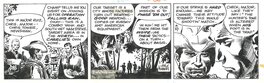 Joe Kubert - Tales of the Green Berets . Strip du 27 avril 1966 . - Comic Strip