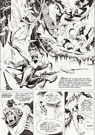 Russell Manning - Tarzan and the history of the Beast Master - Planche originale