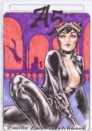 Emilio Laiso - Catwoman par Laiso Blank Cover - Couverture originale
