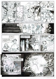 Didier Tarquin - Lanfeust de Troy - Comic Strip