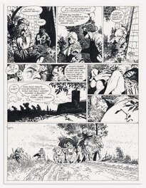Les Tours de Bois-Maury - Comic Strip