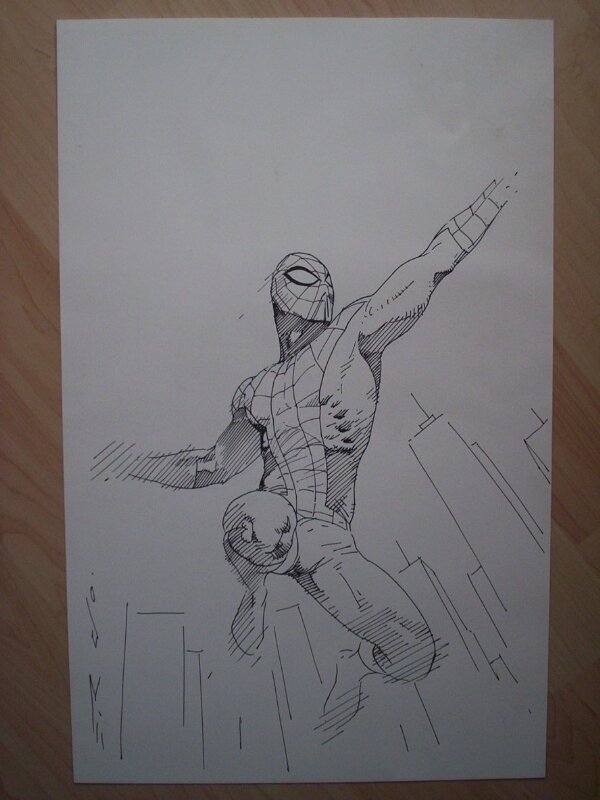 Spider-Man ,Esad T. Ribic - Sketch