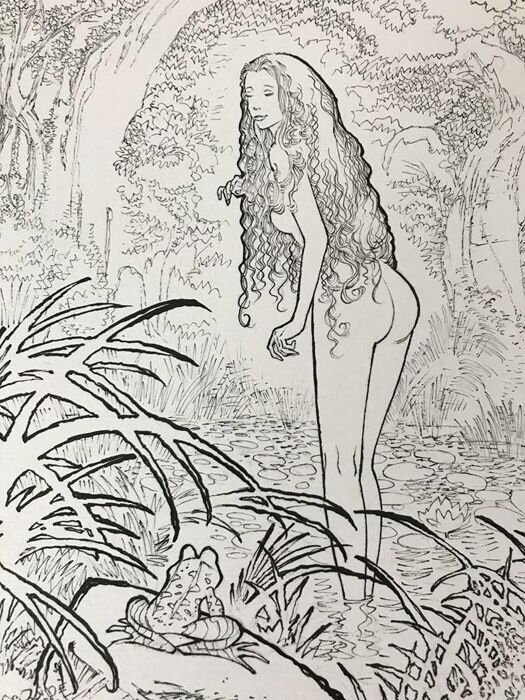 Bruno Maïorana, Garulfo - la princesse - Illustration originale