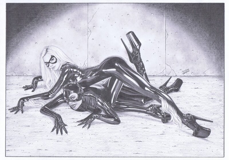 Tim Grayson, Cat Fight : Catwoman & Black Cat - Original Illustration