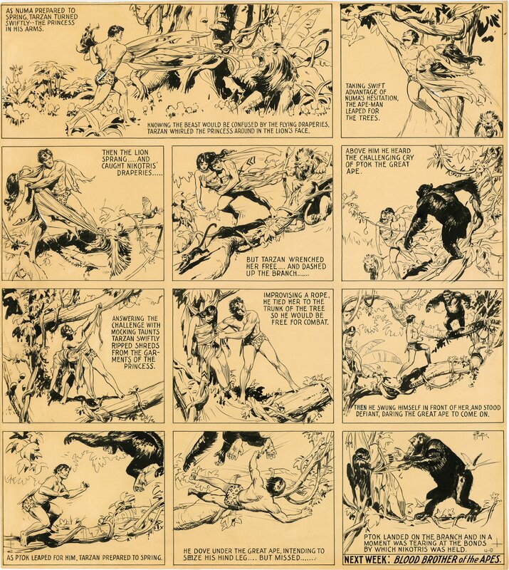 Hal Foster, Tarzan sunday 04/09/1933 - Planche originale