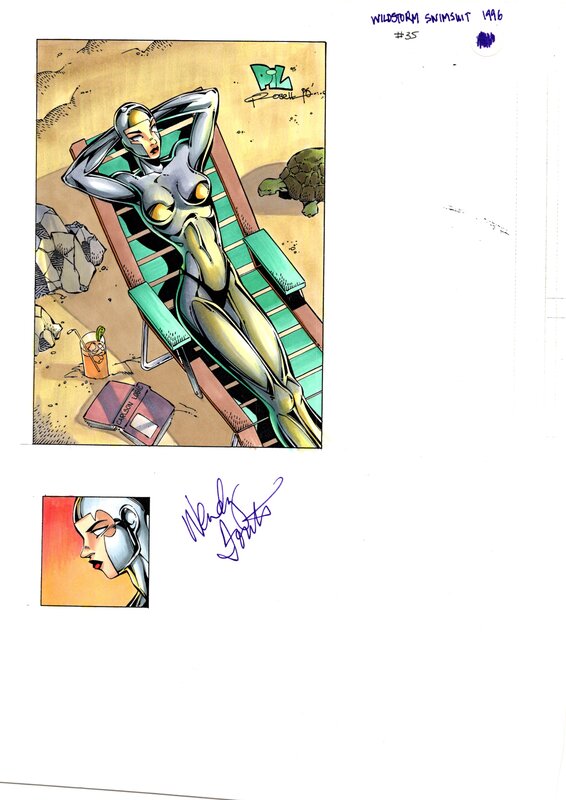 Wendy Fouts, Wildstorm Swimsuit #35 : Void on Grand Cayman (color guide) - Œuvre originale