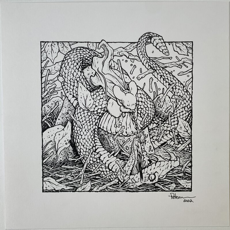 Petersen David - Snake Killer - Illustration originale