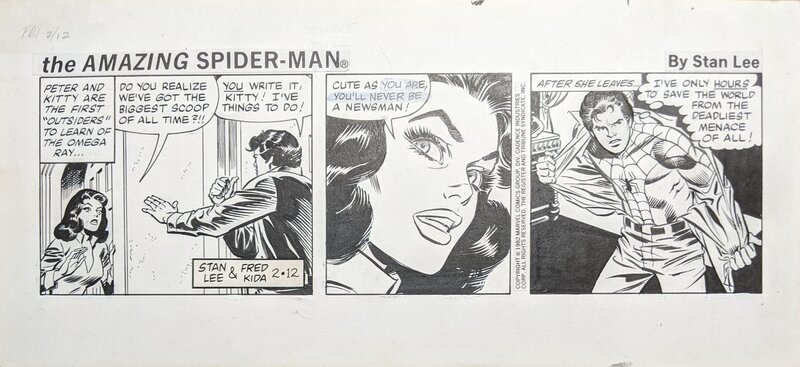 Fred Kida, Stan Lee, The Amazing Spider-Man: Newspaper Comic Strip - 12/02/1982 - Planche originale