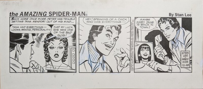 Fred Kida, Stan Lee, The Amazing Spider-Man: Newspaper Comic Strip - 28/12/1982 - Planche originale