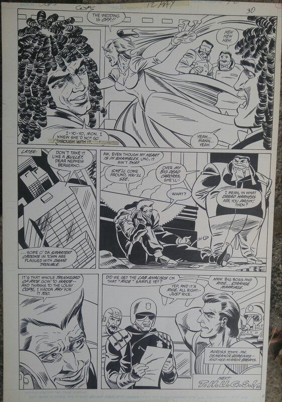 Alan Kuppetburg, Robert Campanella, Cops #12. (The Bride of Berserko) - Comic Strip