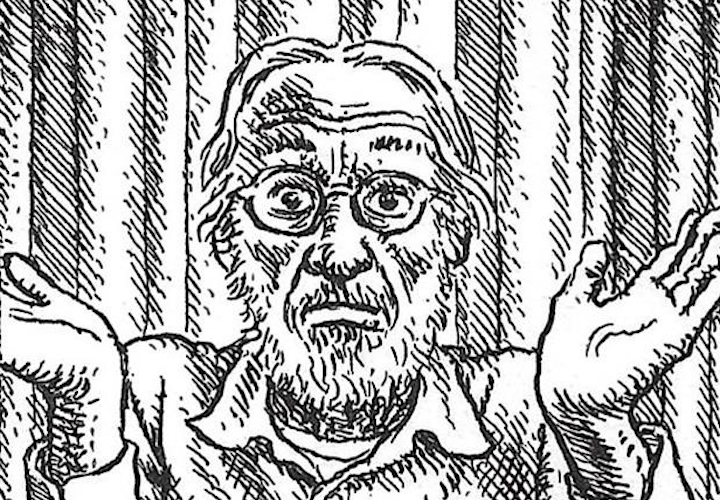 Et la bande dessinée devint adulte (partie VIII : Robert Crumb)
