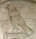 Horus