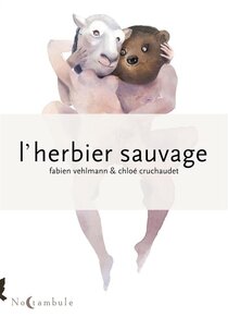 L'herbier sauvage - voir d'autres planches originales de cet ouvrage