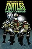 Teenage Mutant Ninja Turtles: Urban Legends, Vol. 1 - more original art from the same book