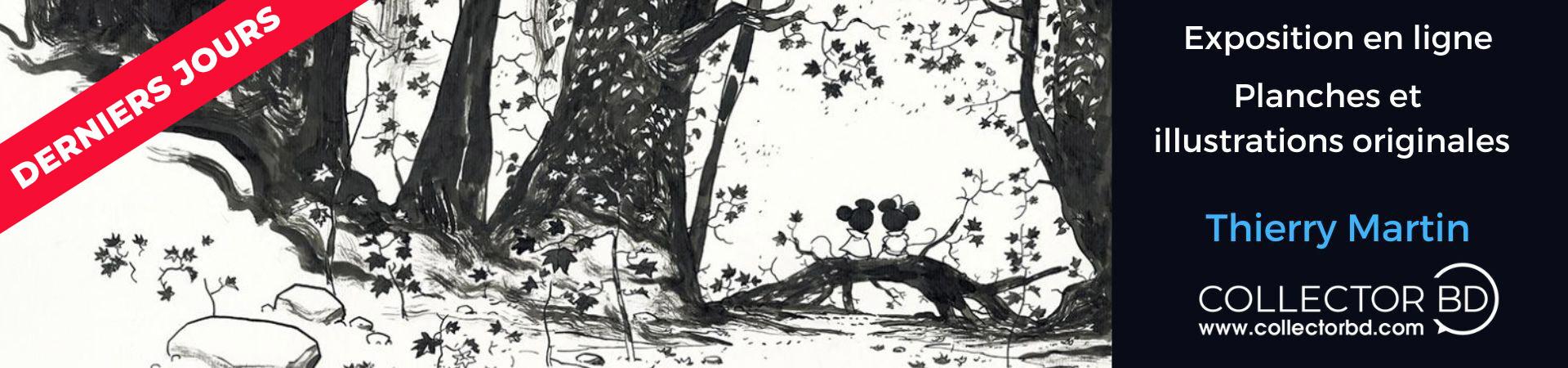 Thierry Martin chez Collector BD