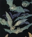 Bats