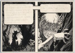 Wrightson 2 cases de Freakshow