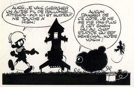 Eternelle querelle entre chien et chat Eternelle querelle entre chien et chat