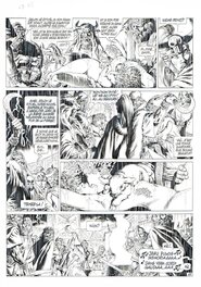 Jean-Yves Mitton - Chroniques Barbares T5 P33 - Comic Strip