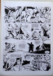 Jean-Yves Mitton - Vae Victis T6 P16 - Comic Strip