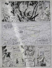 Lidwine - La quête de l'oiseau du temps - Comic Strip