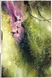 Dave McKean - Dave McKean - Black Orchid Splash - Planche originale