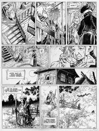 Lidwine - La quête de l'oiseau du temps - T5 - L'ami Javin - Planche 15 - Comic Strip