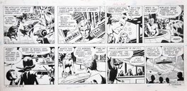 Dan Barry - Flash Gordon Sunday page 15 Sep 1974