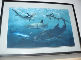 Jeronaton - Illustration de requins - Jeronaton - Illustration originale
