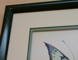 Frame - Detail Frame - Detail