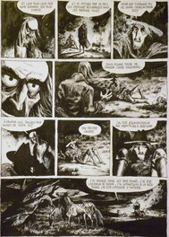 Hugues Micol - Terre de Feu T1, p11 - Comic Strip
